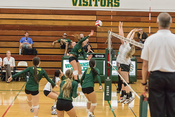 2015 WVHS Girls Volleyball - Glenbard North Match -24