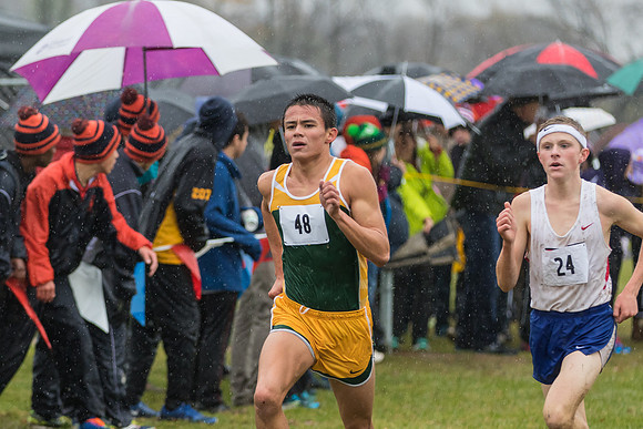 WVHS Boys Cross Country - Sectionals-15