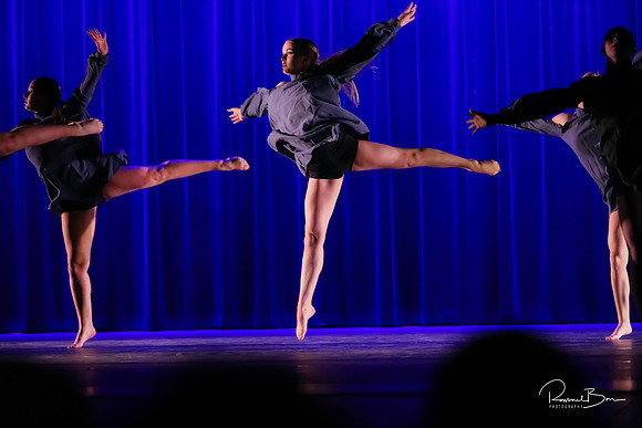 2020 WV Orchesis Showcase-336