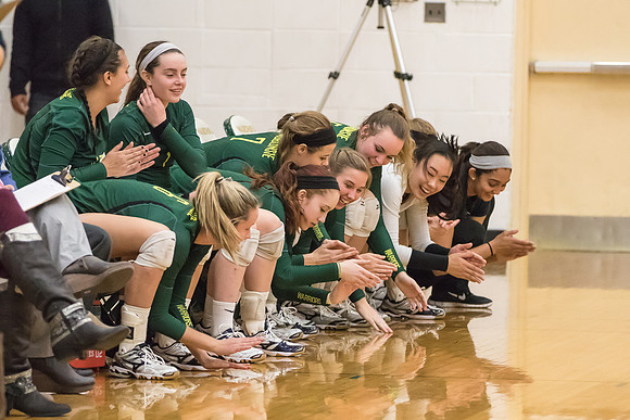 WVHS Varsity Girls Volleyball - Regionals vs Metea Valley-39