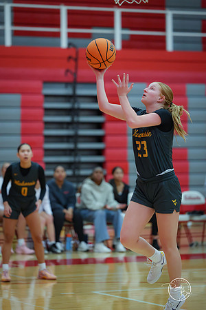 20250116 Naperville Central-3