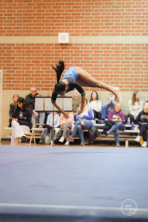 20250123 Valley Co-Op Gymnastics-247