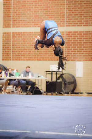20250123 Valley Co-Op Gymnastics-248