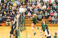 WVHS Varsity Girls Volleyball - Regionals vs Metea Valley-5
