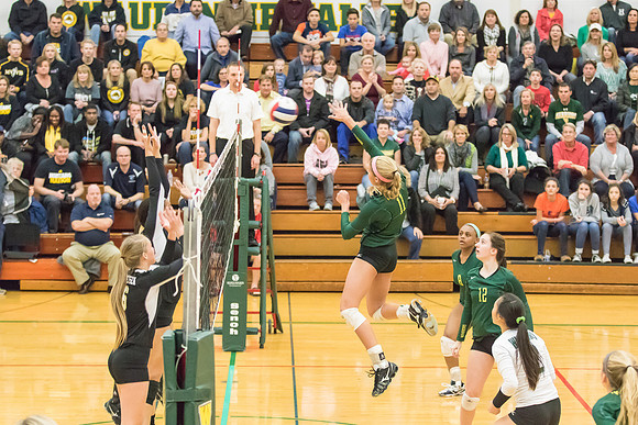 WVHS Varsity Girls Volleyball - Regionals vs Metea Valley-5