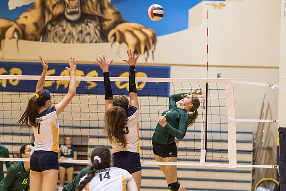 2015 WVHS Varsity Girls Volleyball vs Neuqua Valley-8