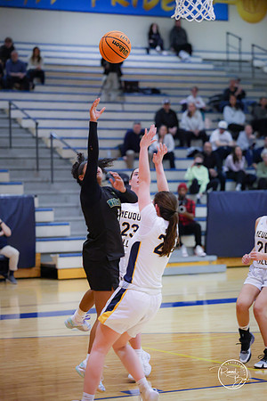 20250204 Neuqua Valley-21