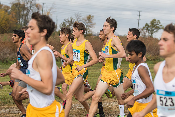 WVHS Boys CC Regionals-2