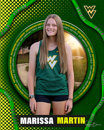 MMartin Banner