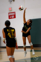 20250815 Food Truck Festival Volleyball Scrimage-6