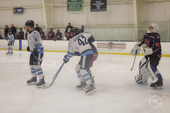 20250202 Naperville-100