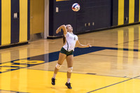 2015 WVHS JV Girls Volleyball vs Neuqua Valley-12