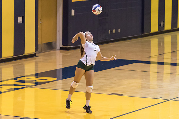 2015 WVHS JV Girls Volleyball vs Neuqua Valley-12