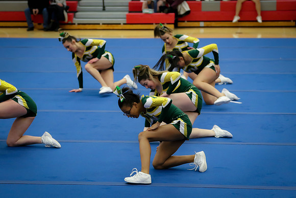 20200121 WV Cheer DVC Championships-5