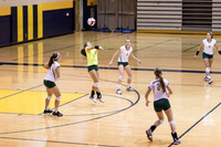 2015 WVHS JV Girls Volleyball vs Neuqua Valley-9