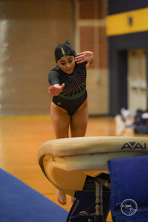 20250123 Valley Co-Op Gymnastics-17