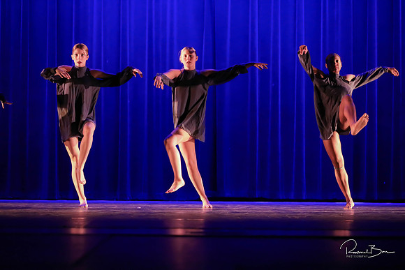 2020 WV Orchesis Showcase-342