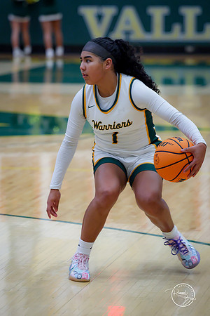 20250211 Naperville Central-4