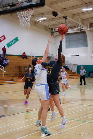 20241121 Downers Grove South-88