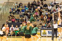 2015 WVHS Varsity Girls Volleyball vs Neuqua Valley-18