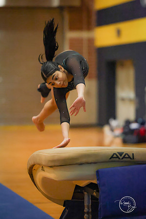 20250123 Valley Co-Op Gymnastics-18