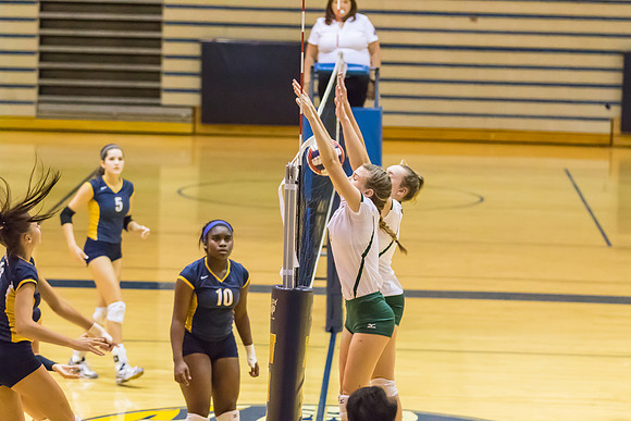 2015 WVHS JV Girls Volleyball vs Neuqua Valley-1