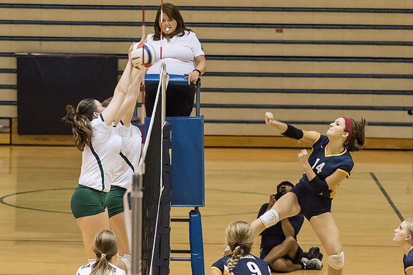 2015 WVHS JV Girls Volleyball vs Neuqua Valley-19