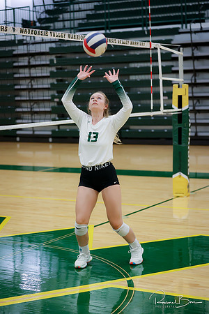 2022 WV Volleyball Seniors Action Shots-94