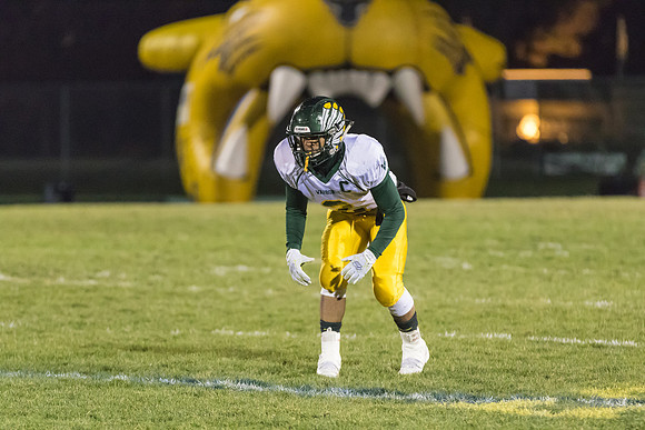 Playoffs - Round 2 - Neuqua Valley-11