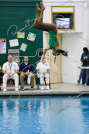 20170831 WV Girls Swim-Dive vs Oswego East-97