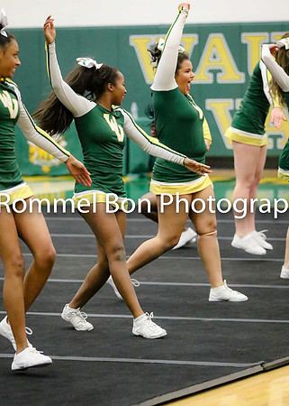 20180116 WV JV Dance Conference-51