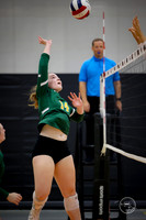 20250920 Wheaton Classic Gold-5