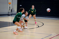 20250920 Wheaton Classic Gold-8