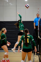 20250920 Wheaton Classic Gold-10
