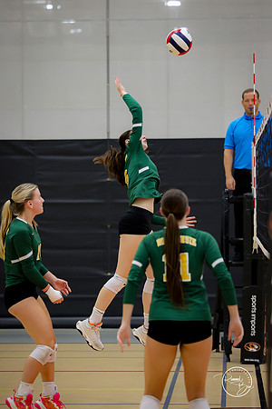 20250920 Wheaton Classic Gold-10