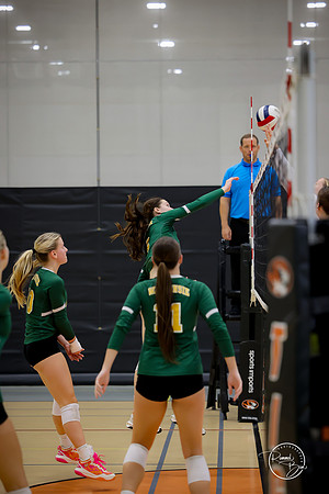 20250920 Wheaton Classic Gold-11