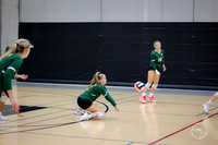 20250920 Wheaton Classic Gold-13