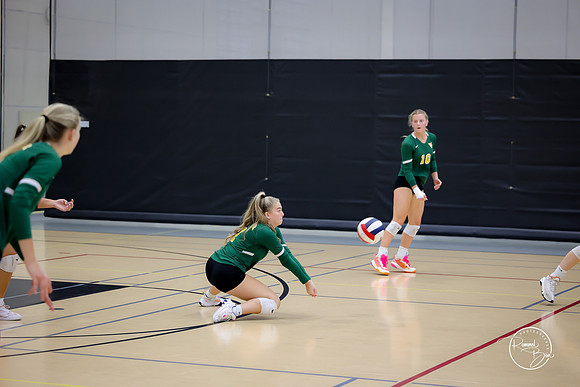 20250920 Wheaton Classic Gold-13