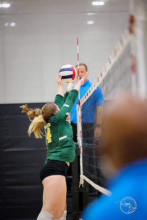 20250920 Wheaton Classic Gold-20