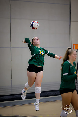 20250920 Wheaton Classic Gold-21