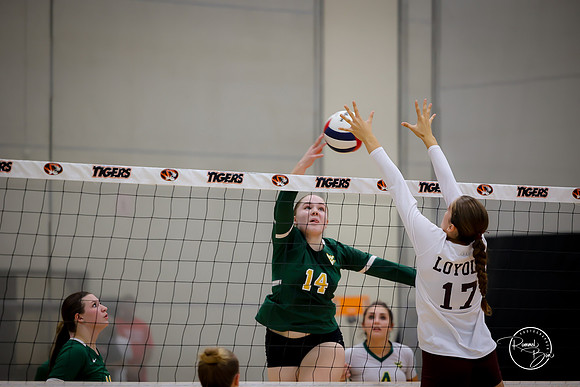 20250920 Wheaton Classic Gold-24