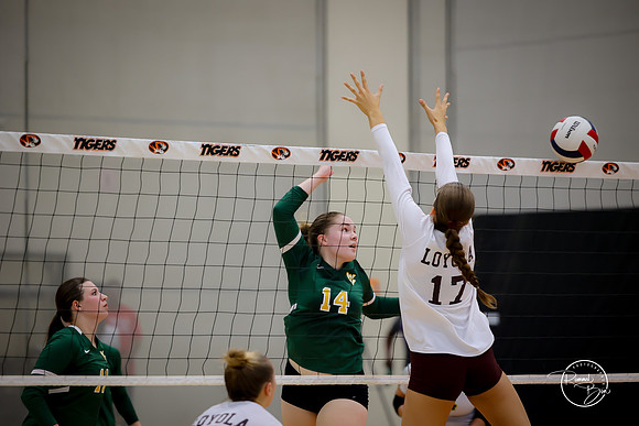 20250920 Wheaton Classic Gold-25