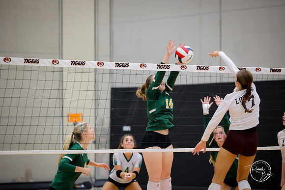 20250920 Wheaton Classic Gold-26