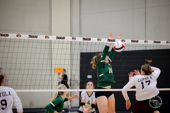 20250920 Wheaton Classic Gold-27