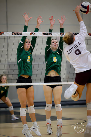 20250920 Wheaton Classic Gold-29