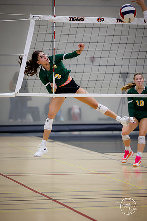 20250920 Wheaton Classic Gold-32