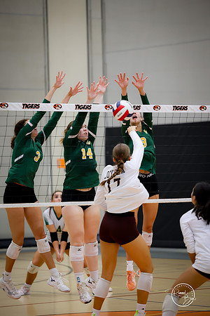 20250920 Wheaton Classic Gold-33