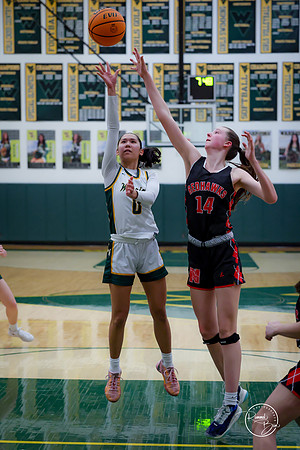 20250211 Naperville Central-90