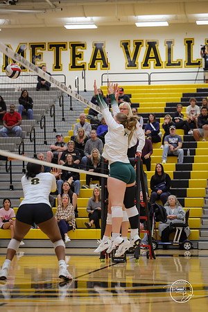 20251009 Metea Valley-26