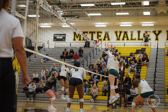 20251009 Metea Valley-81